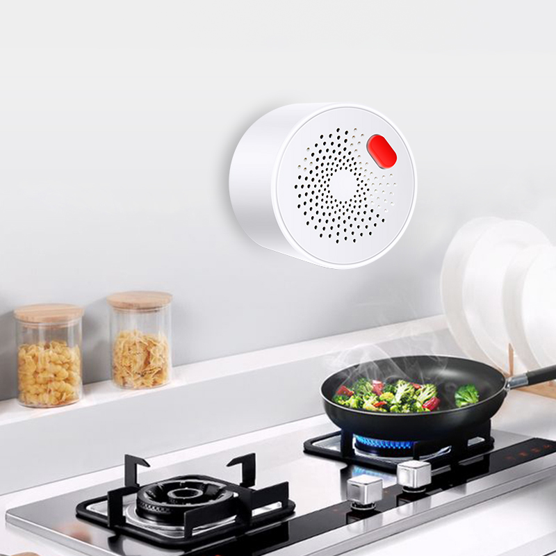 Tuya-Sensor de Gas Natural par - Home Security Tools reseña y precio