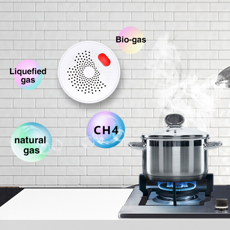 Tuya-Sensor de Gas Natural par - Home Security Tools reseña y precio
